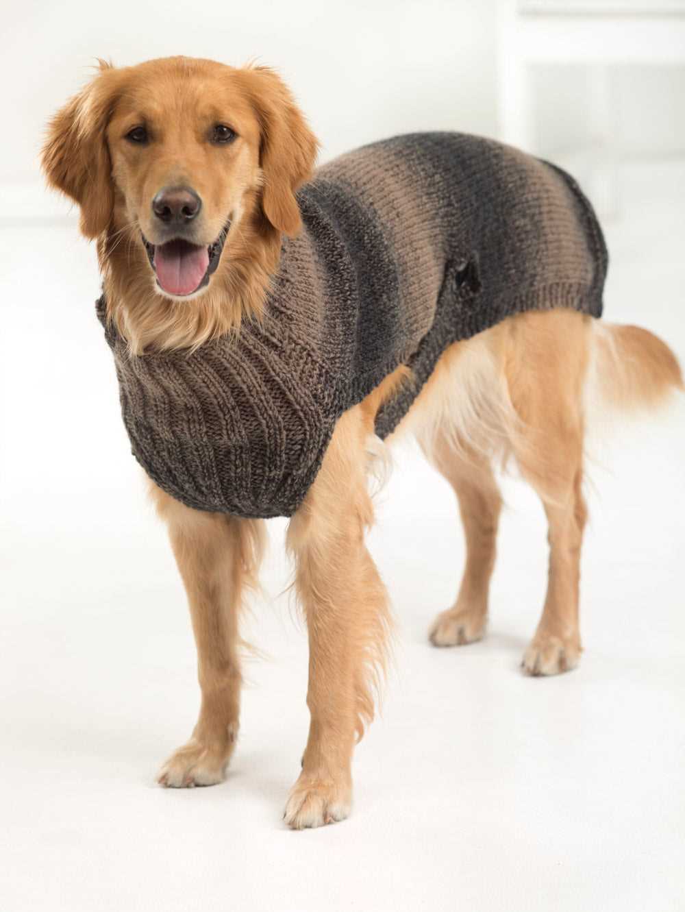 Dog sweaters to knit free patterns
