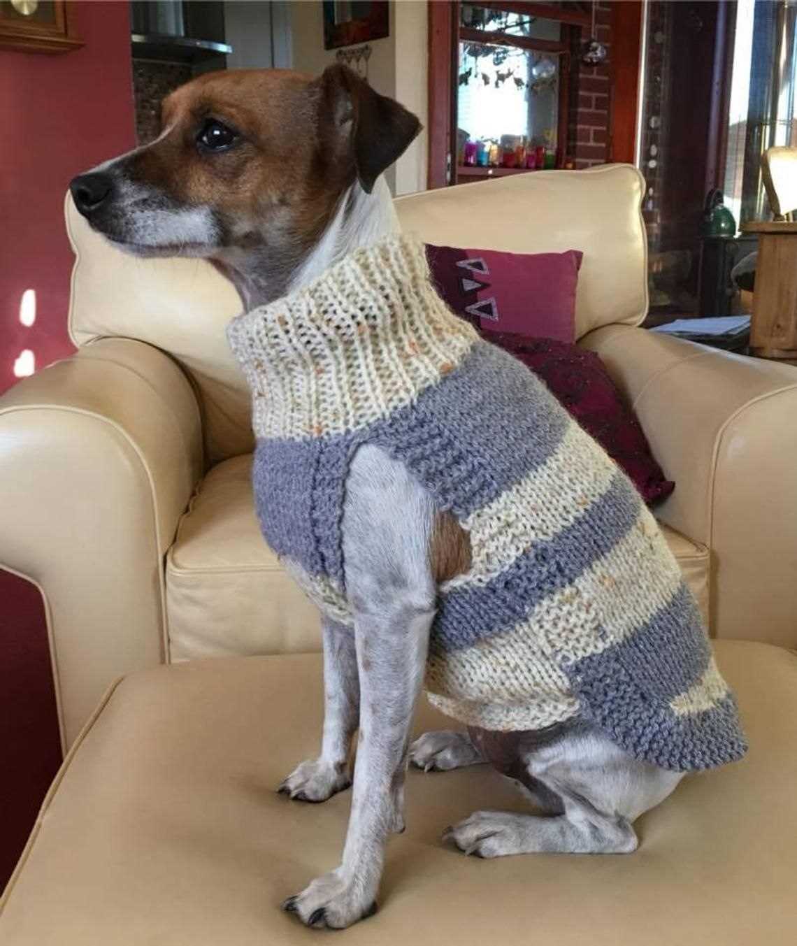 Dog vest knitting pattern