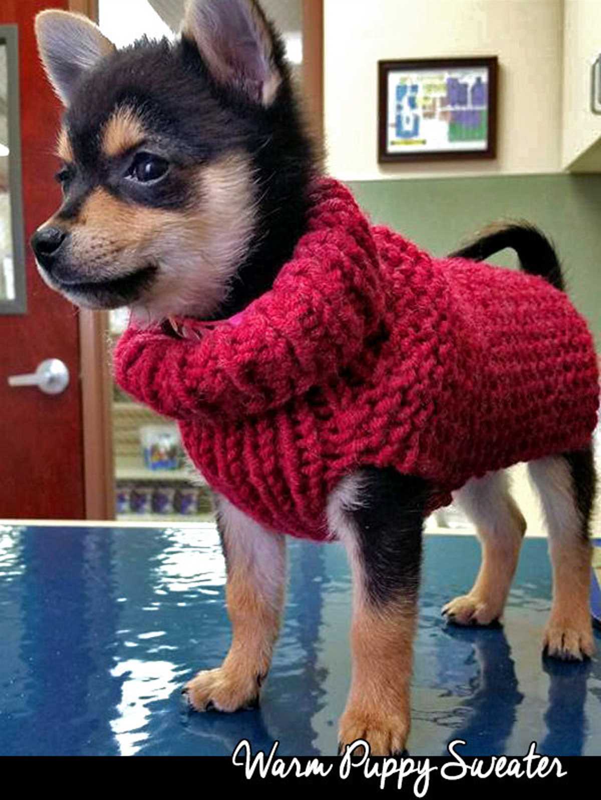 Dog vest knitting pattern