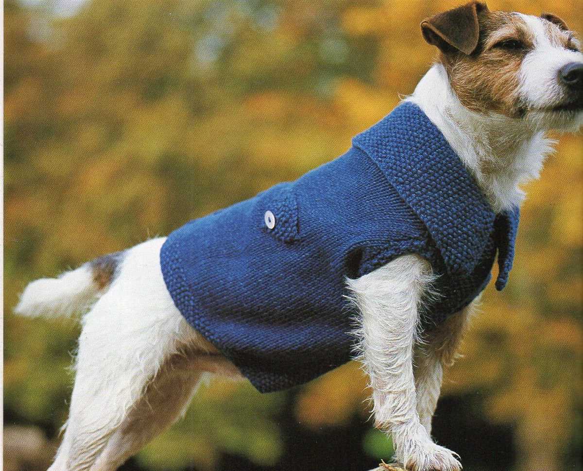 Dog vest knitting pattern