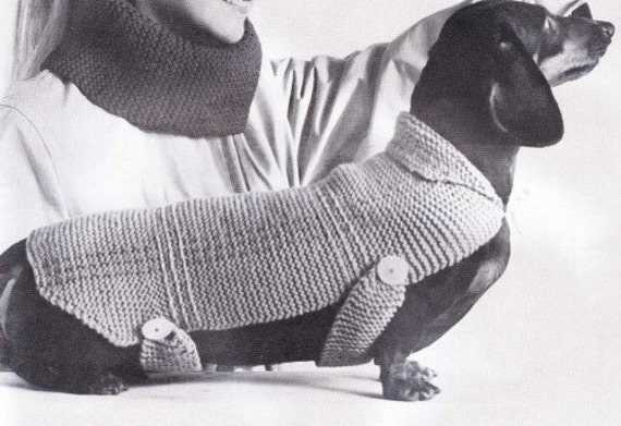 Easy knitted dog coat pattern free