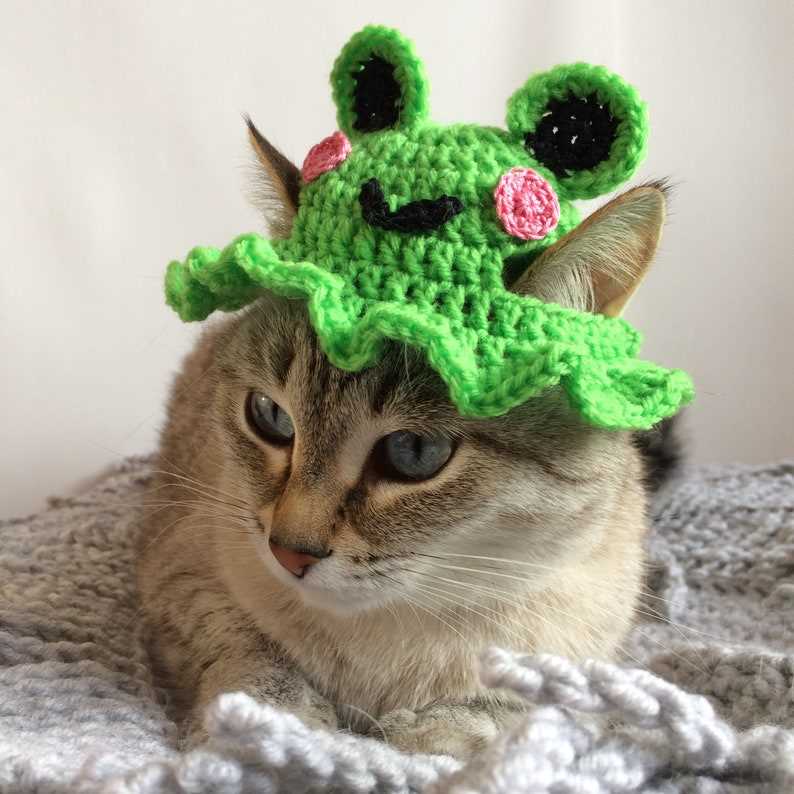 Cat beanie knitting pattern free
