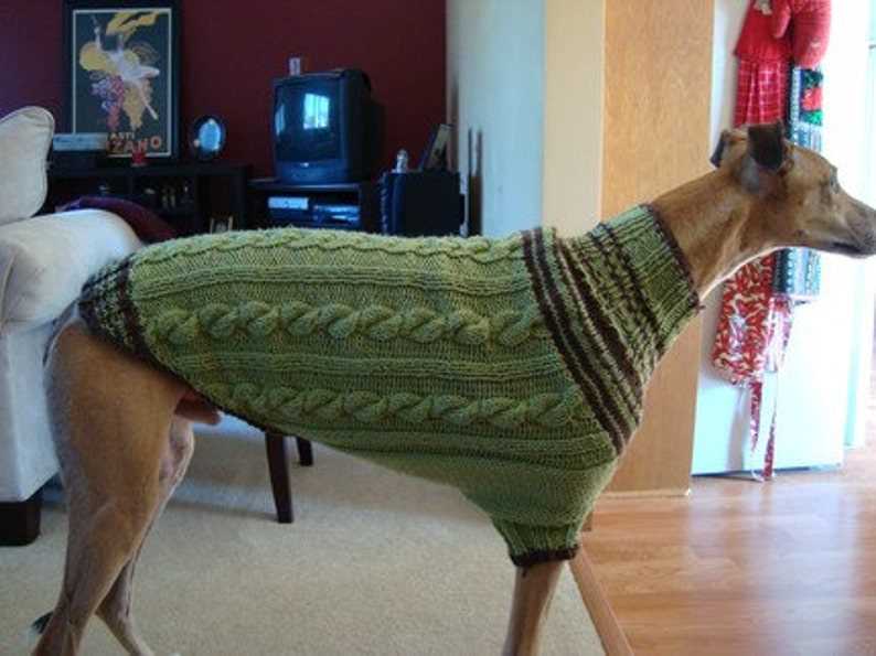 Dog sweaters to knit free patterns