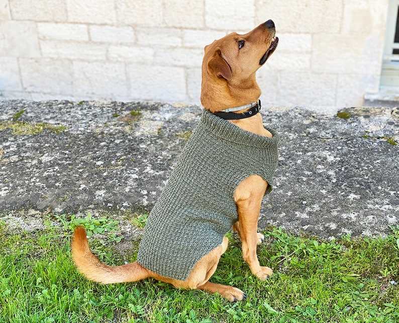 Free knitting patterns for dog sweaters on straight needles