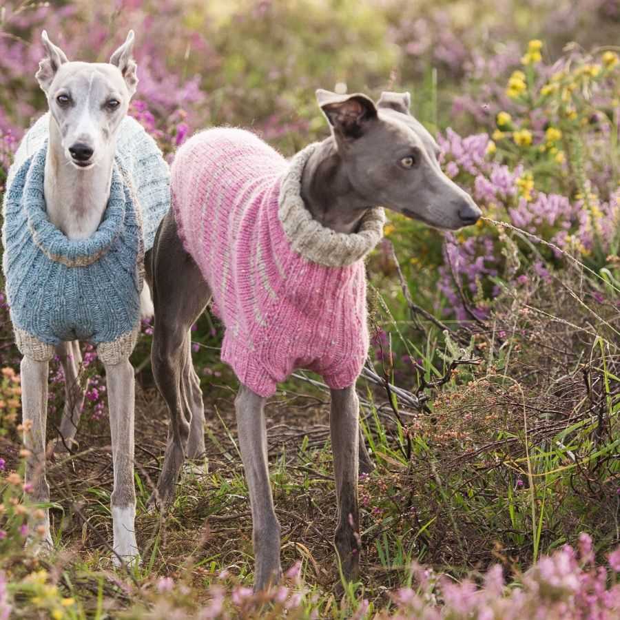 Greyhound hat knitting pattern