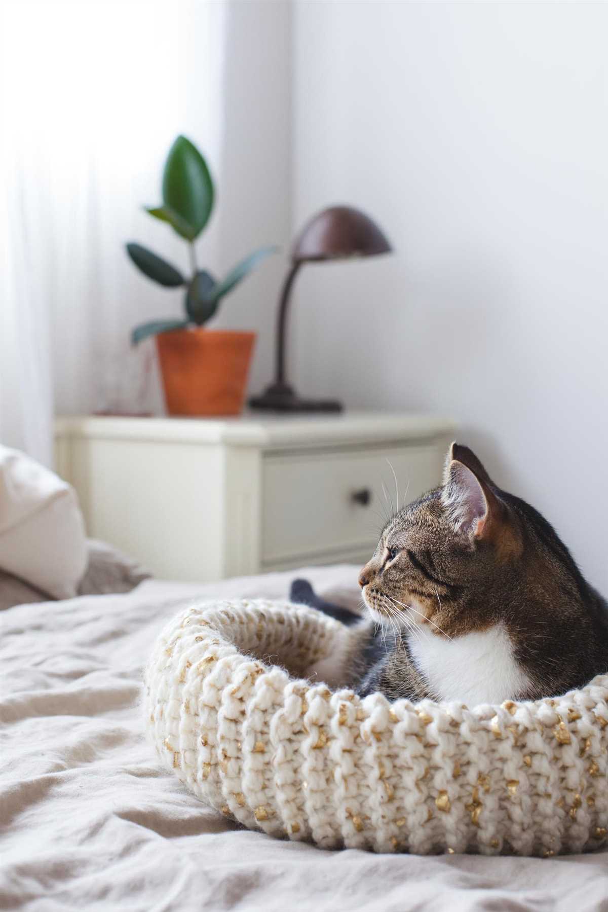 Create a Cozy Cat Bed with These Free Knitting Patterns Free cat bed knitting patterns