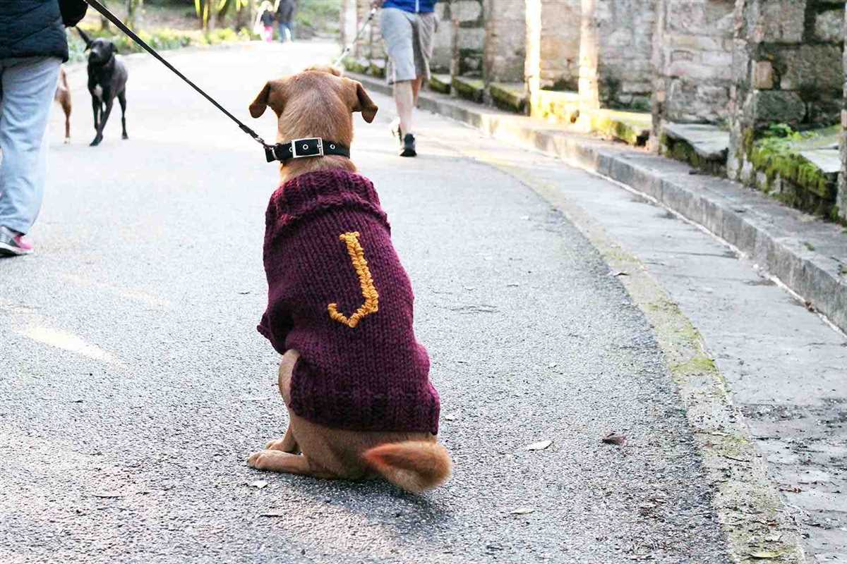 Free large dog sweater knitting pattern