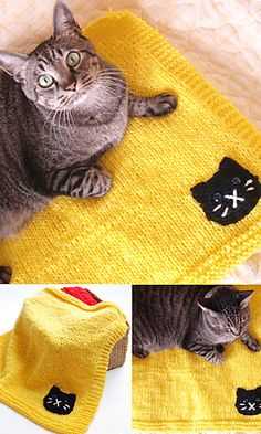 Free knitted cat blanket pattern