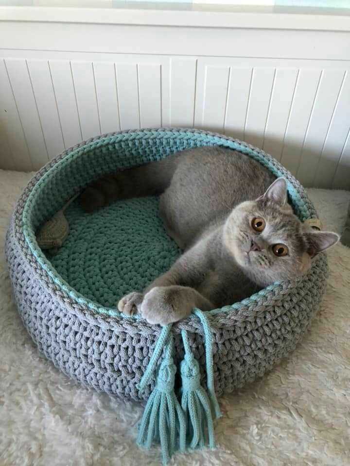 Cozy Haven for Your Feline Friend - Unlocking the Free Pattern for a Knitted Cat Couch Free knitted cat couch pattern
