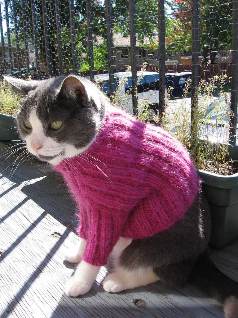 Free knitting pattern cats
