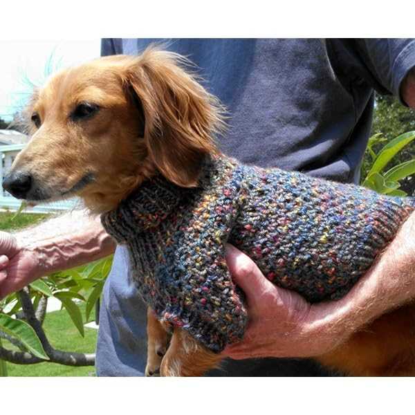 Free knitting pattern for dachshund jumper