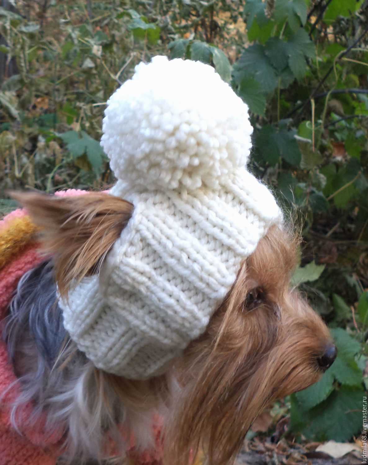 Free knitting pattern for dog hat with ear holes