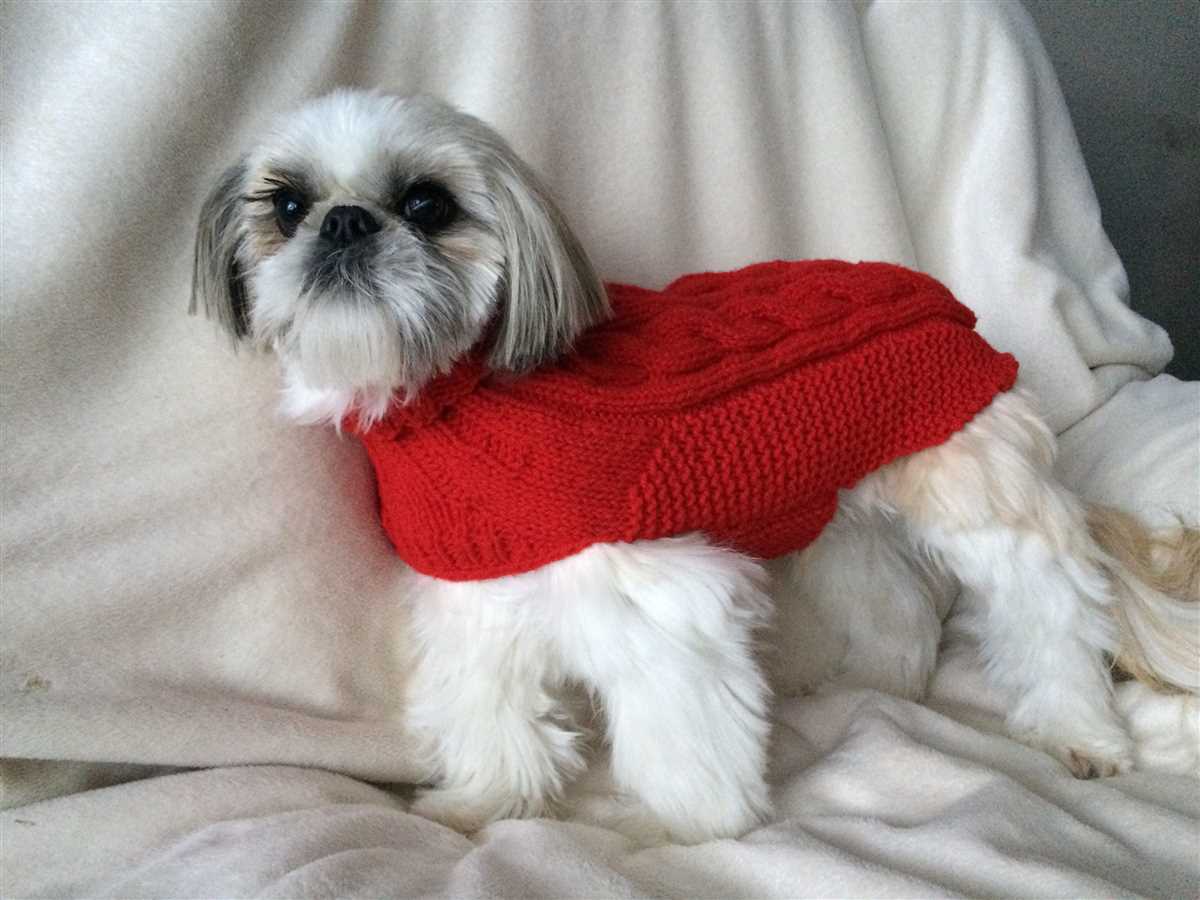 Free knitting patterns for shih tzu dog coat