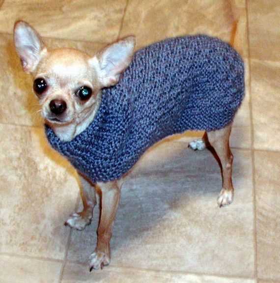 Free knitting patterns for chihuahua dogs