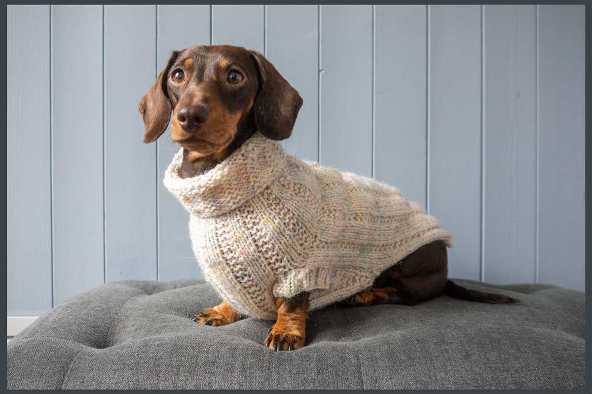 Free knitting pattern for dachshund jumper