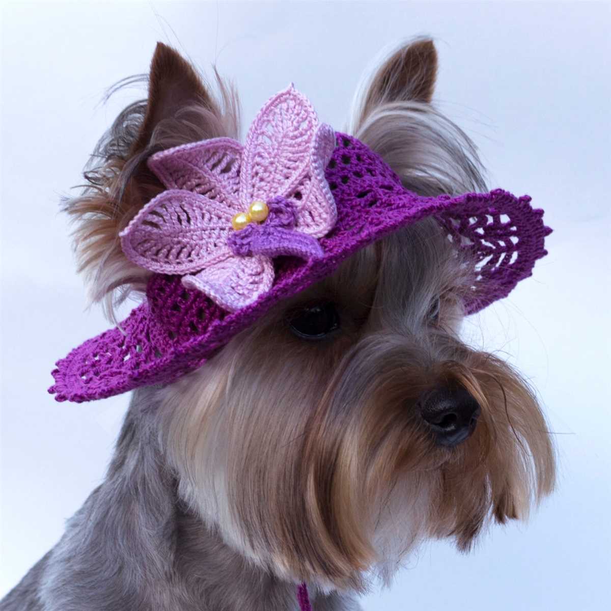 Free knitting pattern for dog hat with ear holes