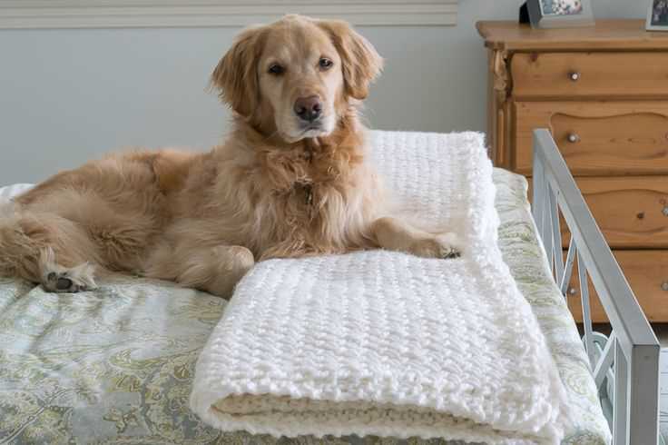Free knitting patterns for dog blankets