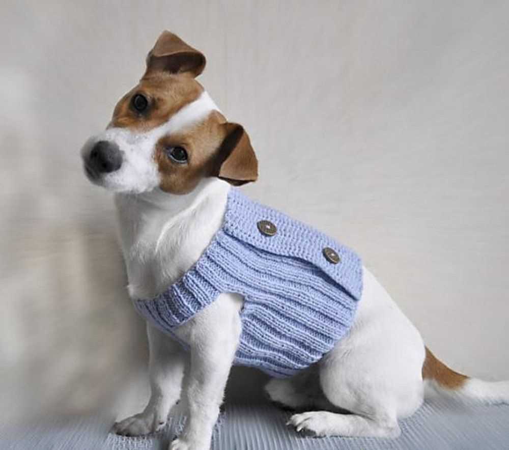 Free knitting patterns for dogs