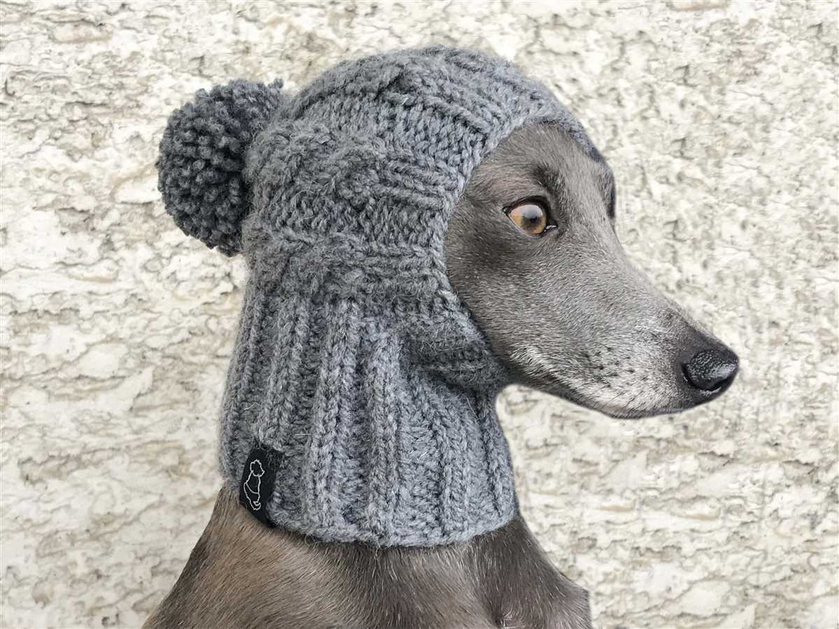 Knitting pattern dog hat