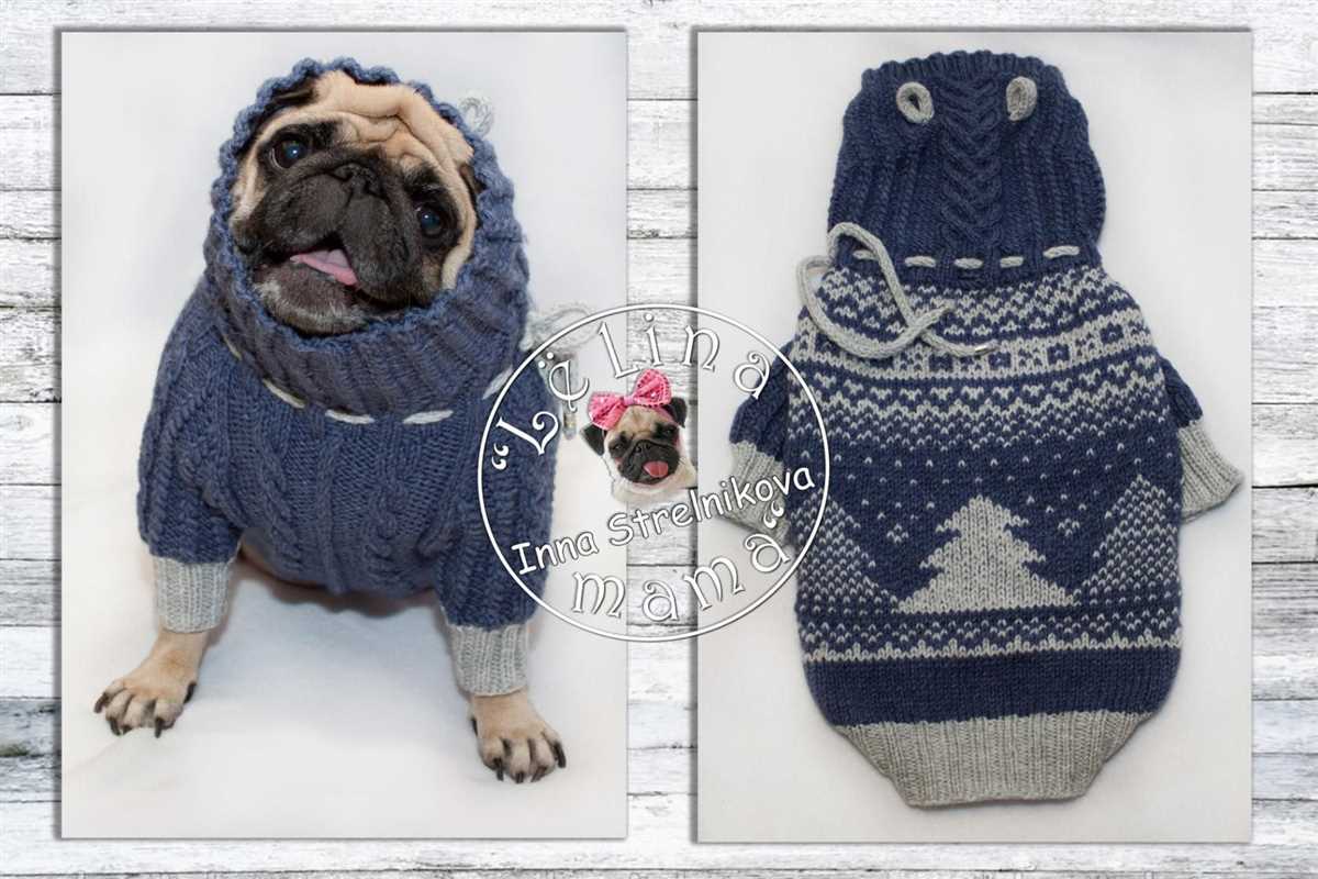 Pug sweater knitting pattern