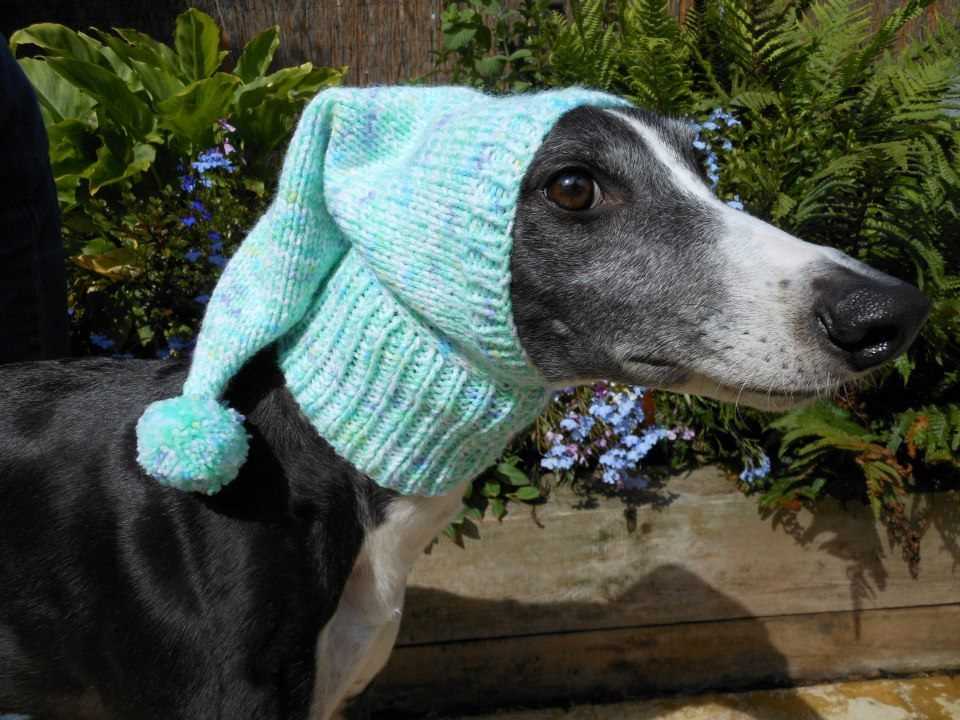 Greyhound knitting pattern coat