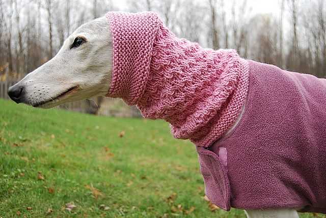 Greyhound knitting pattern coat