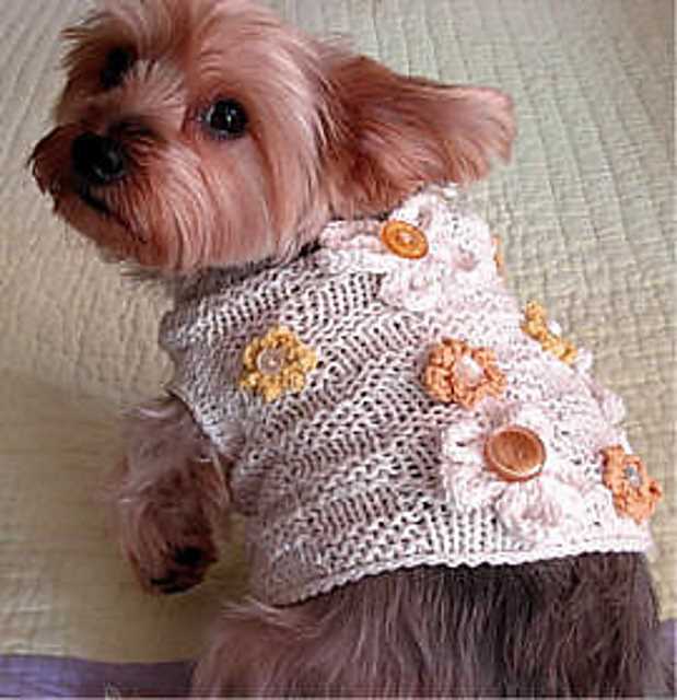 Free knitting patterns for small dog sweaters uk