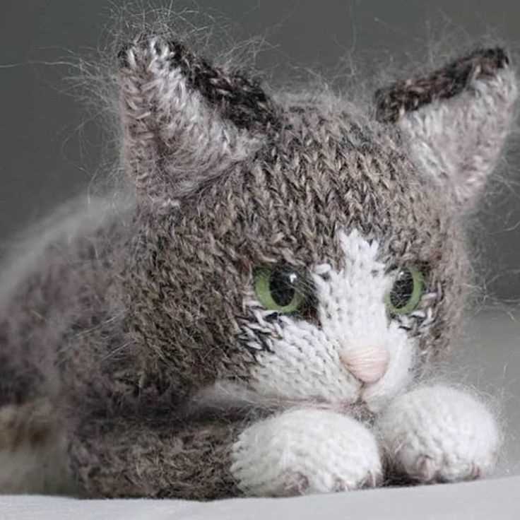 Cat coat knitting pattern