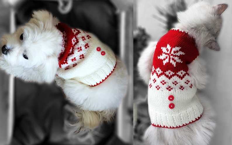 Battersea dog coat knitting pattern