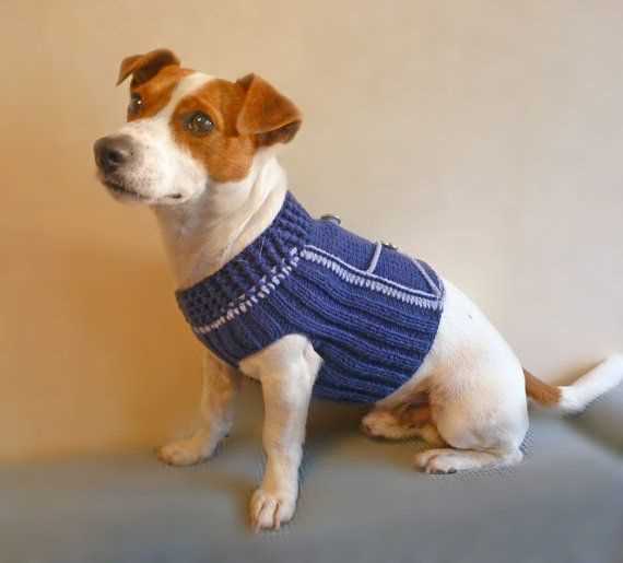 Dog vest knitting pattern