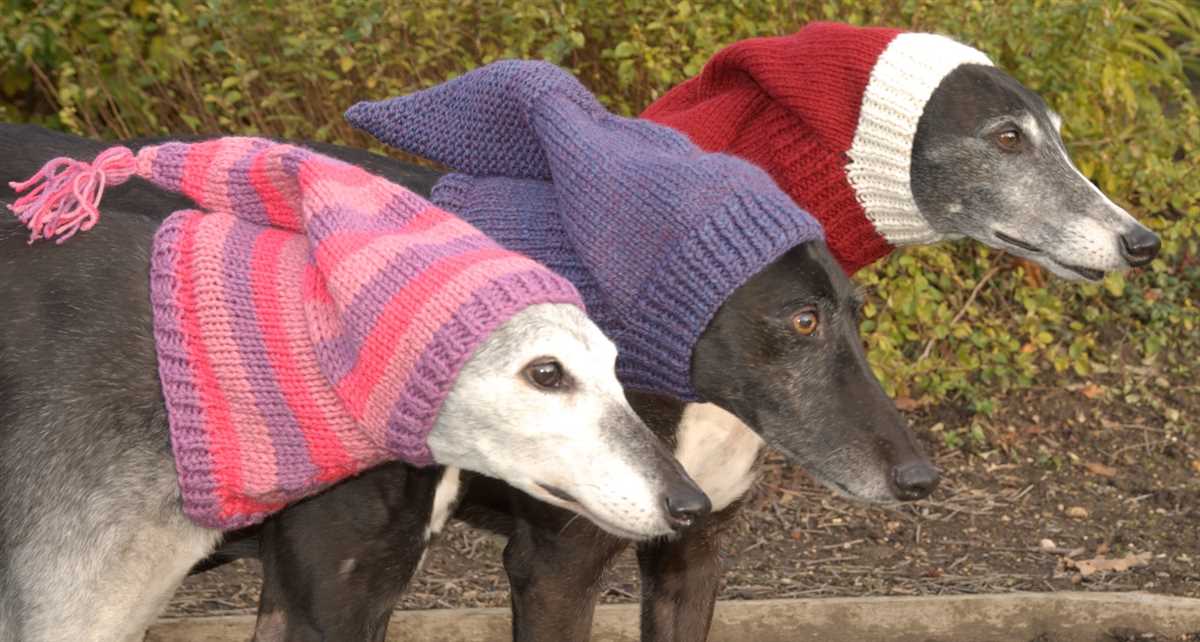 Greyhound hat knitting pattern