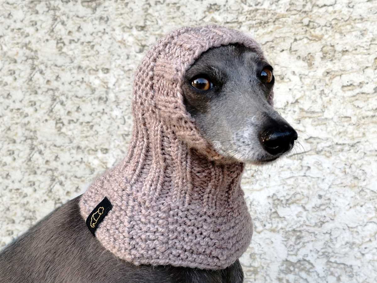 Greyhound hat knitting pattern