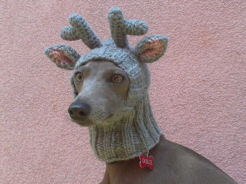 Greyhound hat knitting pattern