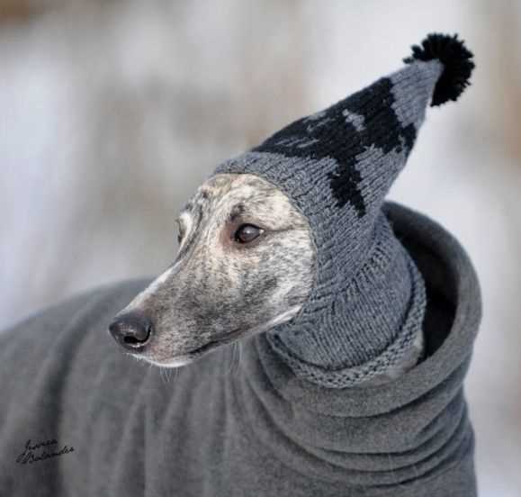 Greyhound hat knitting pattern