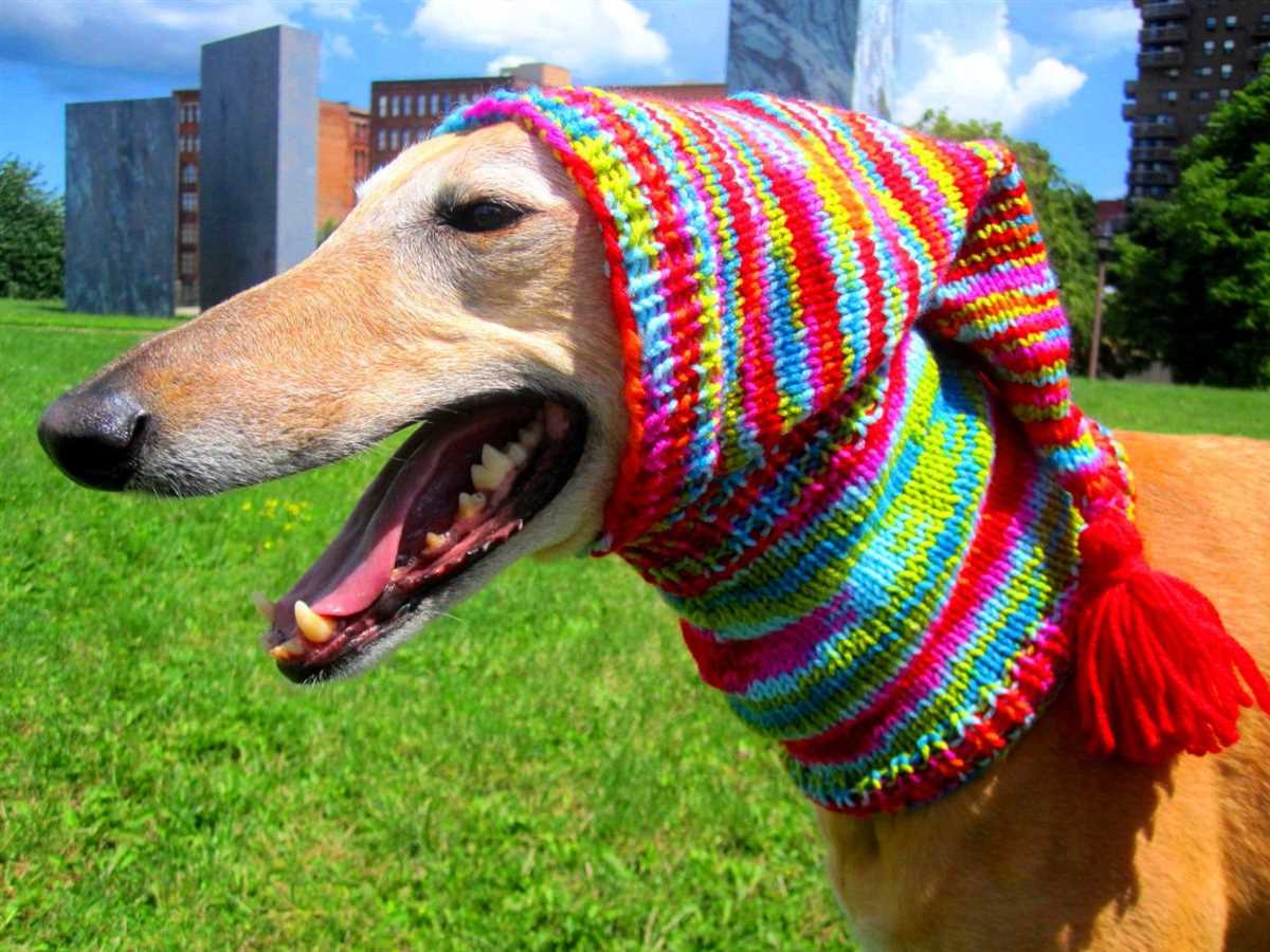 Greyhound hat knitting pattern