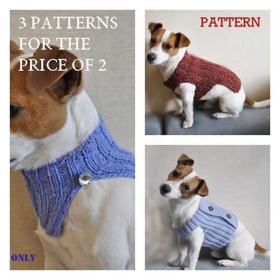 Knitting patterns for dogs free