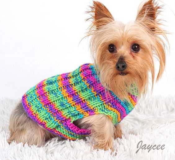 Dog coat knitting pattern small dogs