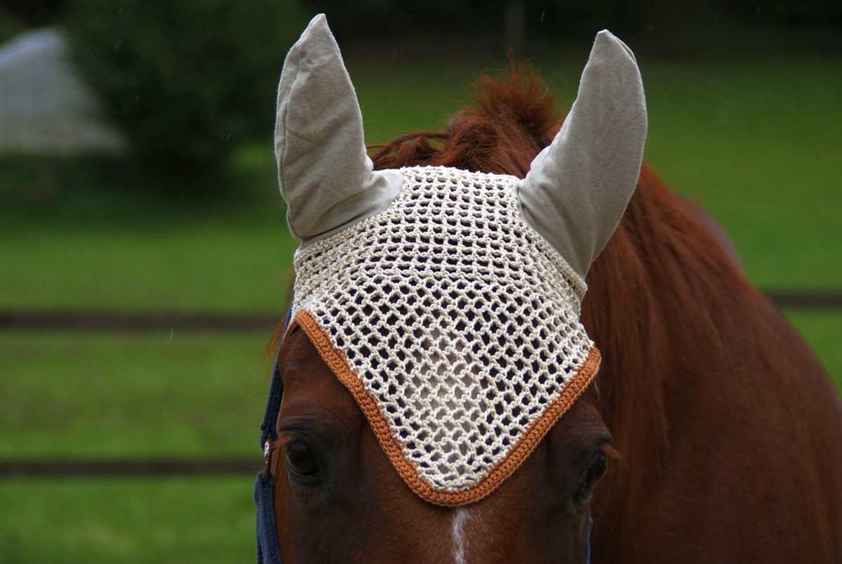 Hat for horse knitting pattern