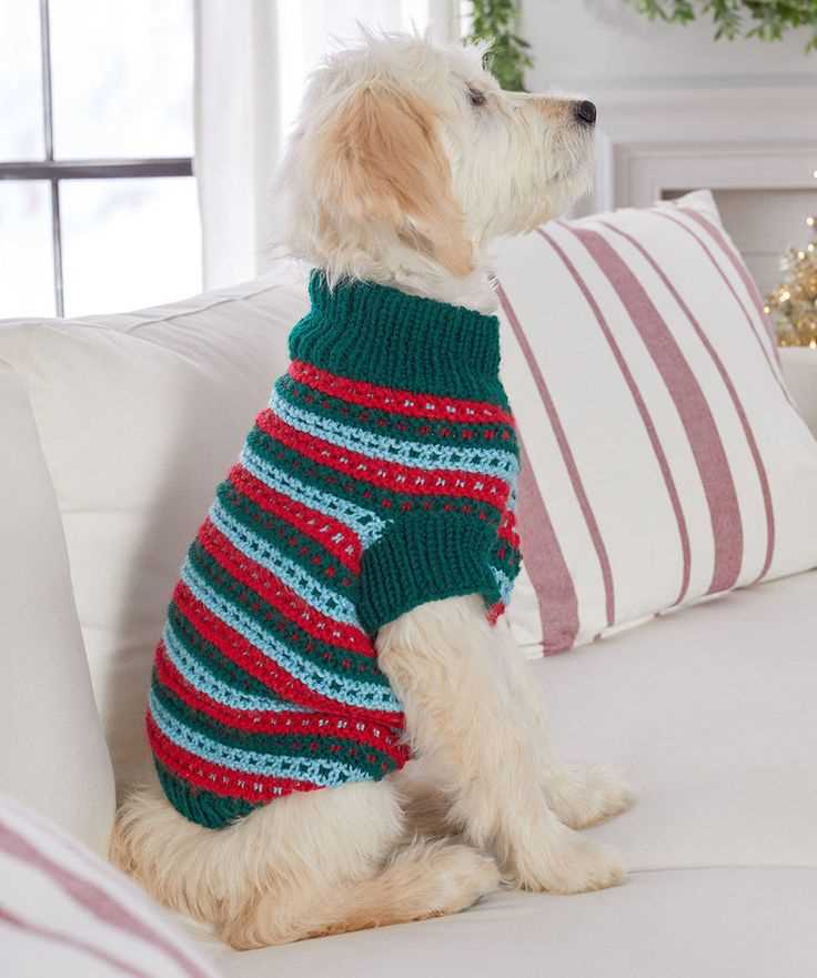 Free knitting patterns for small dog sweaters uk