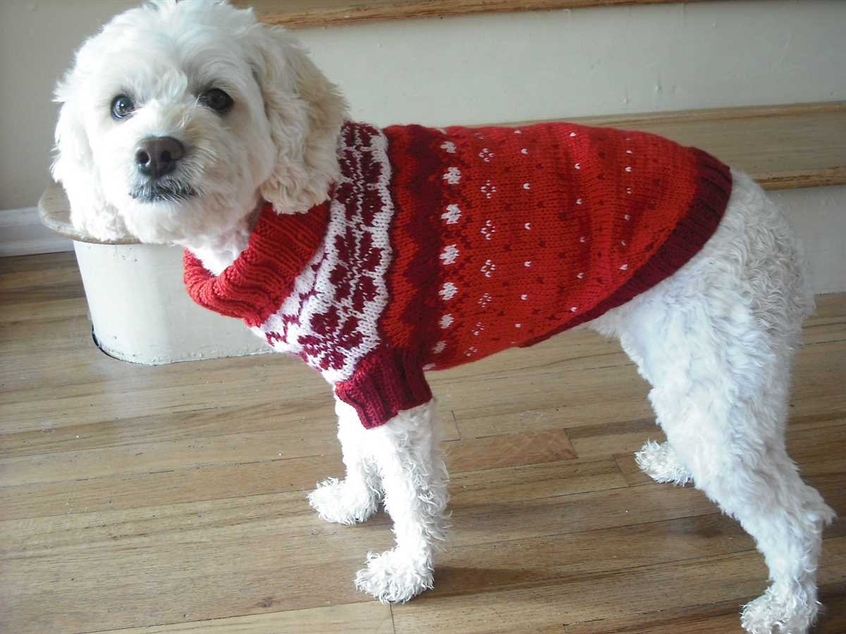 Knitting pattern for dog christmas jumper