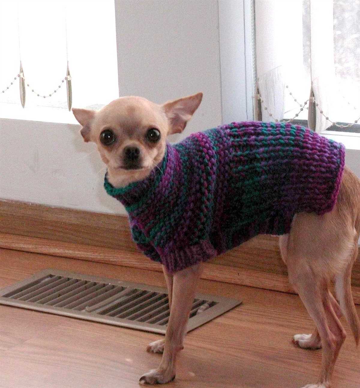 Dog sweater knitting pattern ravelry