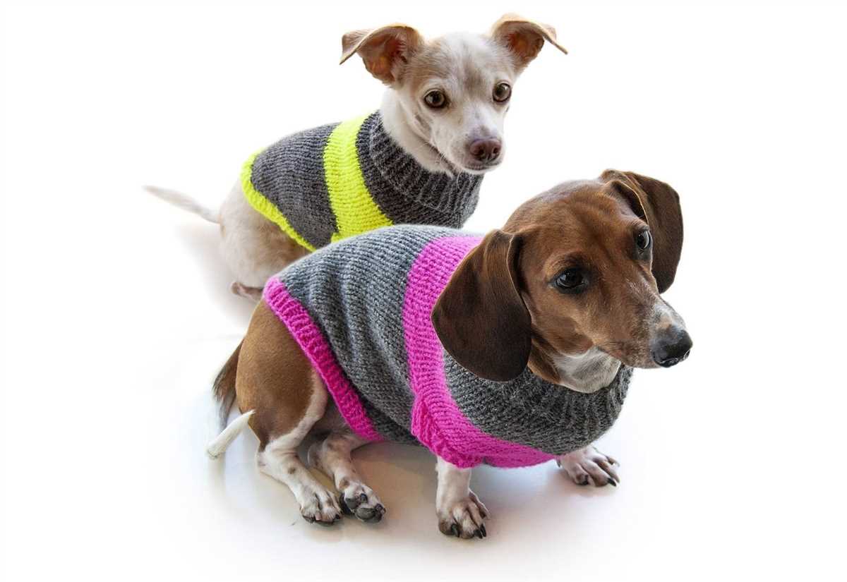 Mini dachshund sweater knitting pattern free