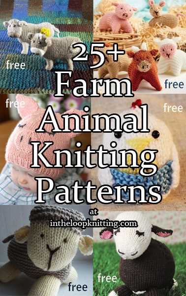 Jumpers for chickens knitting pattern