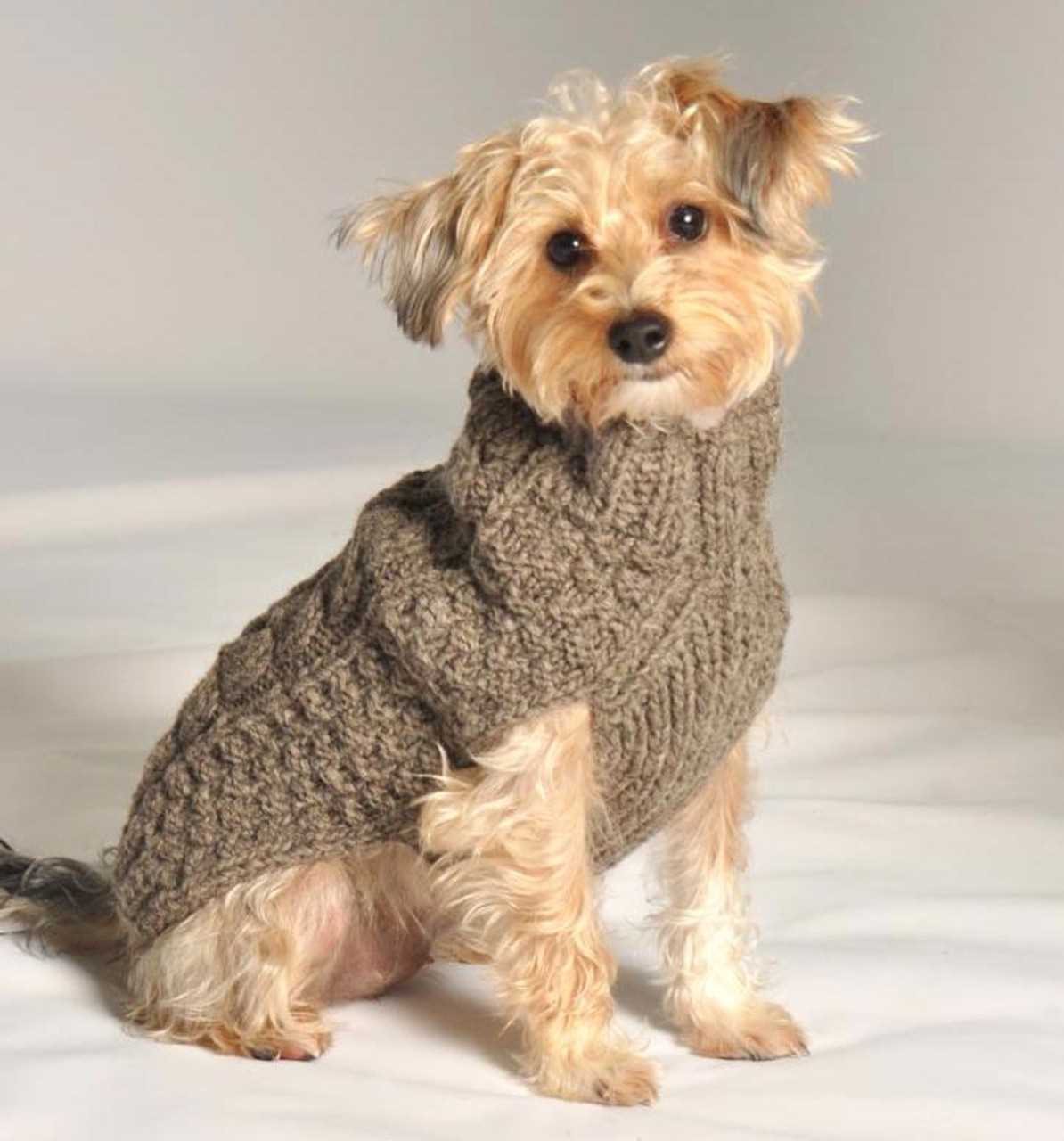 Knitting patterns for pets clothes