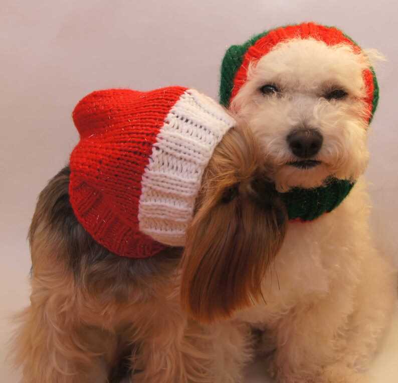 Knitting pattern dog hat