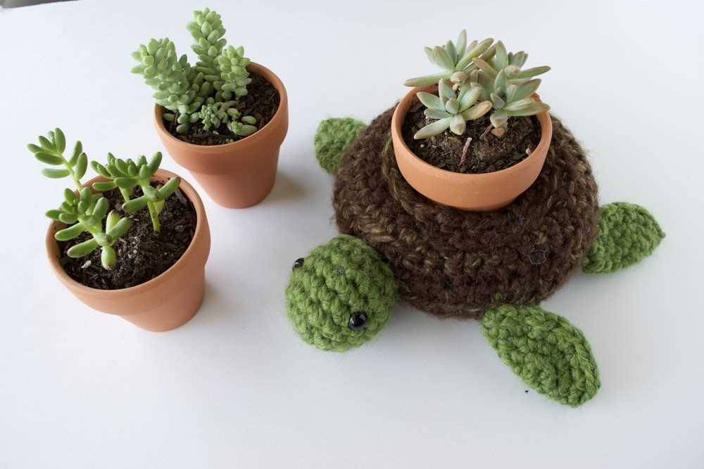 Knit succulent pattern