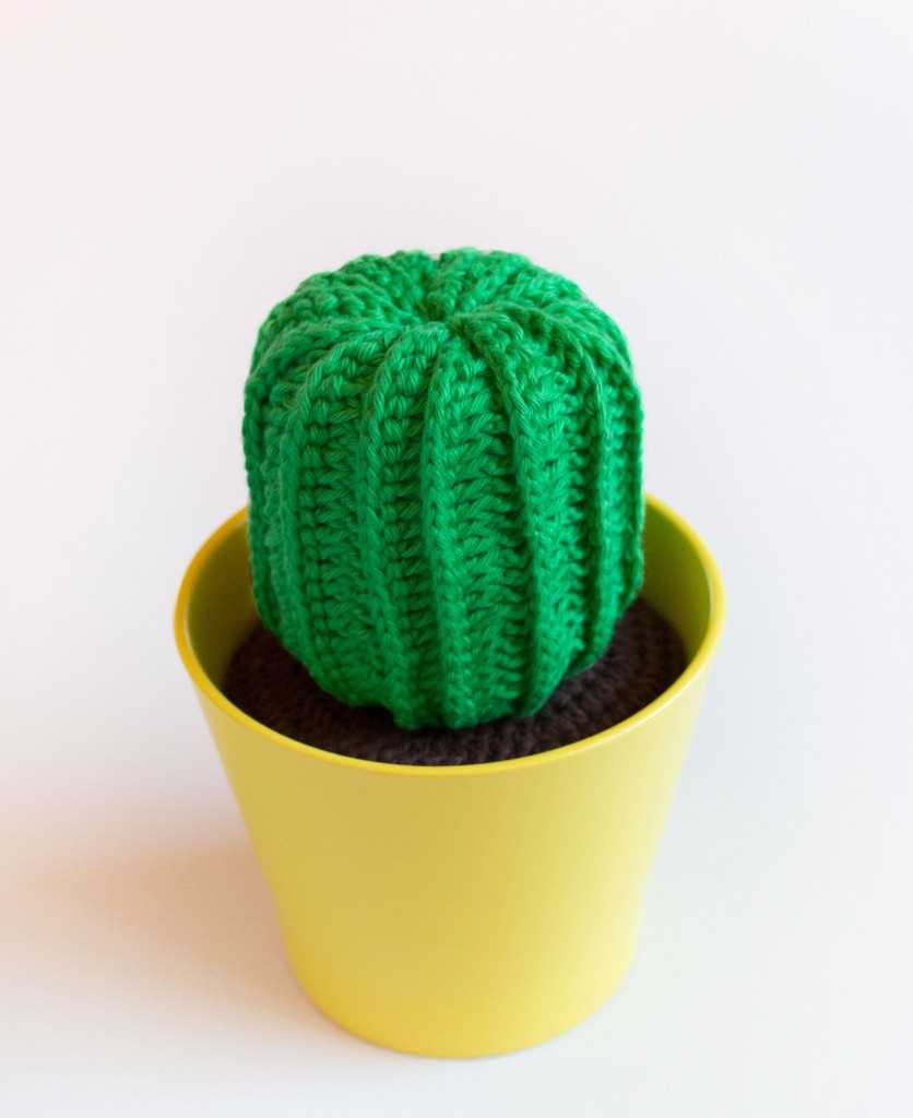 Knit cactus pattern free