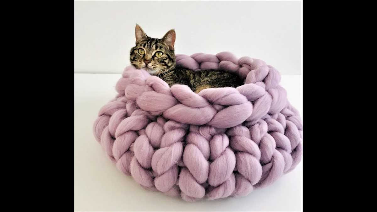 Creating a Cozy Cat Bed - Knitting Pattern Knit cat bed pattern
