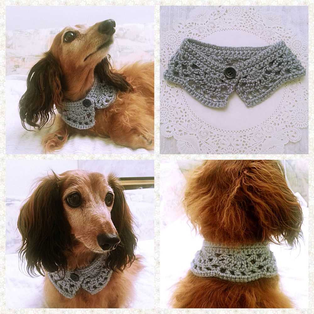 Knitted bandana pattern for dogs