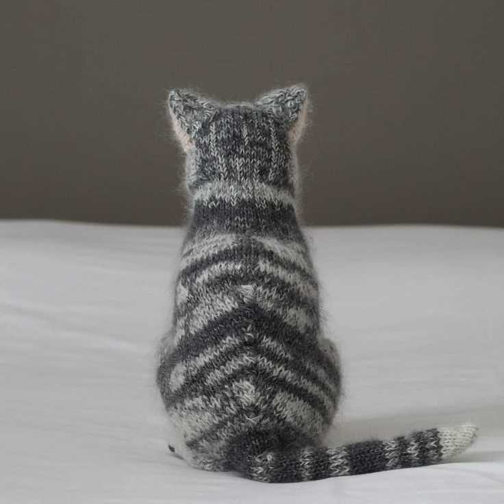 Knitted cat collar pattern